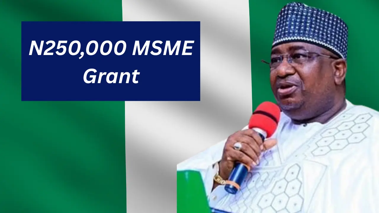 N250,000 MSME Grant