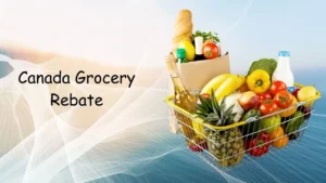 Canada Grocery Rebate Bill (C-46):New Refund Rules and Food Eligibility Explained