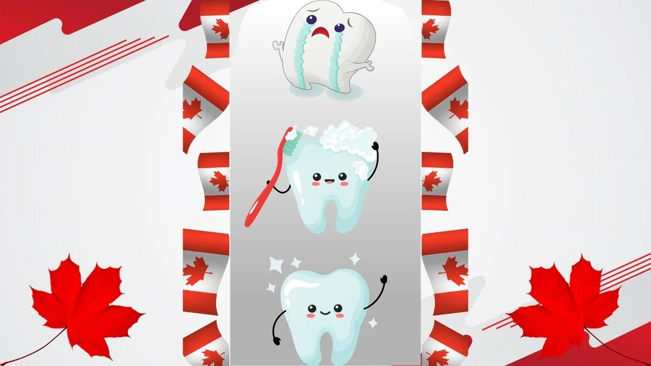 canadian dental care plan